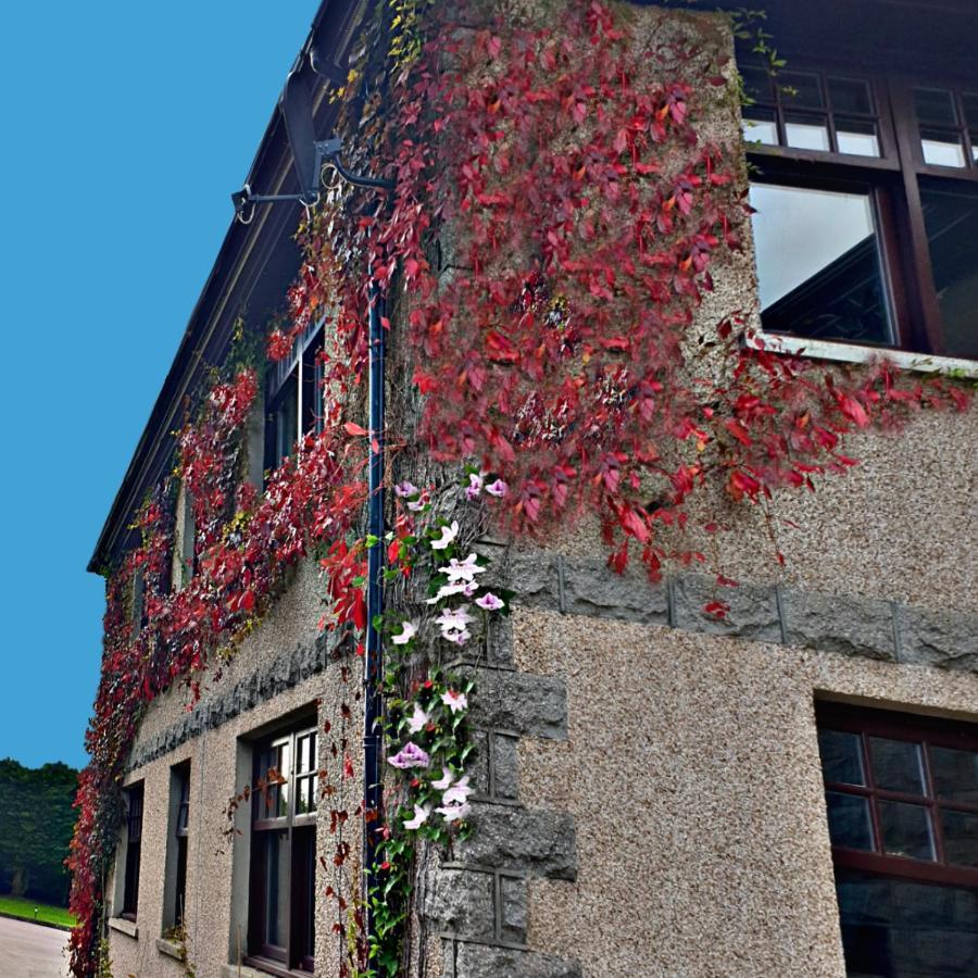 Bogenraith House Otel Banchory Dış mekan fotoğraf